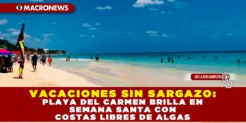 VACACIONES SIN SARGAZO: PLAYA DEL CARMEN BRILLA EN SEMANA SANTA CON COSTAS LIBRES DE ALGAS