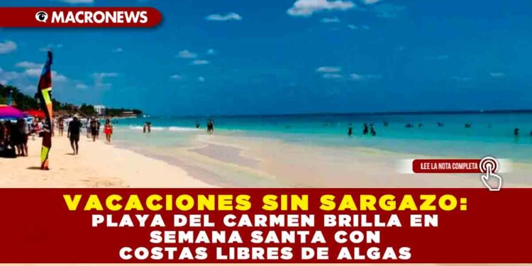 VACACIONES SIN SARGAZO: PLAYA DEL CARMEN BRILLA EN SEMANA SANTA CON COSTAS LIBRES DE ALGAS