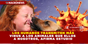  LOS HUMANOS TRANSMITEN MÁS VIRUS A LOS ANIMALES QUE ELLOS A NOSOTROS, AFIRMA ESTUDIO