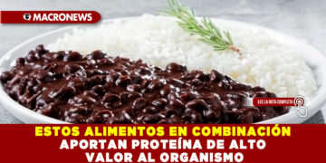 ESTOS ALIMENTOS EN COMBINACIÓN APORTAN PROTEÍNA DE ALTO VALOR AL ORGANISMO