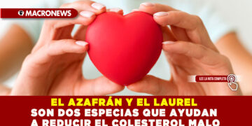 EL AZAFRÁN Y EL LAUREL SON DOS ESPECIAS QUE AYUDAN A REDUCIR EL COLESTEROL MALO