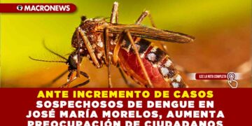 ANTE INCREMENTO DE CASOS SOSPECHOSOS DE DENGUE EN JOSÉ MARÍA MORELOS, AUMENTA PREOCUPACIÓN DE CIUDADANOS