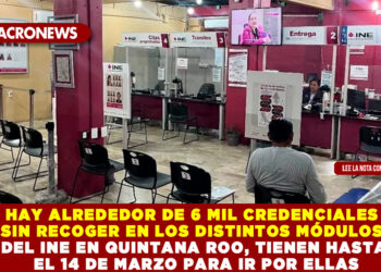 HAY ALREDEDOR DE 6 MIL CREDENCIALES SIN RECOGER EN LOS DISTINTOS MÓDULOS DEL INE EN QUINTANA ROO, TIENEN HASTA EL 14 DE MARZO PARA IR POR ELLAS