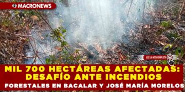 MIL 700 HECTÁREAS AFECTADAS: DESAFÍO ANTE INCENDIOS FORESTALES EN BACALAR Y JOSÉ MARÍA MORELOS