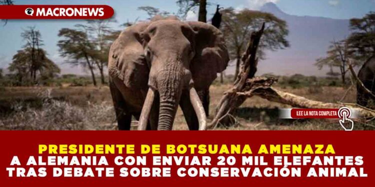 PRESIDENTE DE BOTSUANA AMENAZAN A ALEMANIA CON ENVIAR 20 MIL ELEFANTES TRAS DEBATE SOBRE CONSERVACIÓN ANIMAL