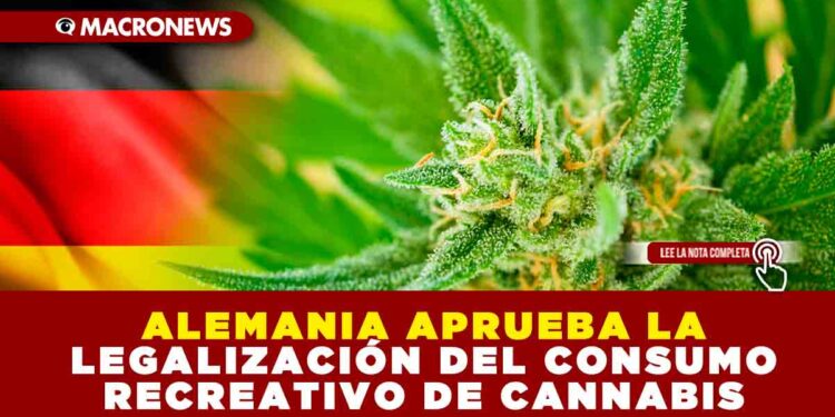ALEMANIA APRUEBA LA LEGALIZACIÓN DEL CONSUMO RECREATIVO DE CANNABIS