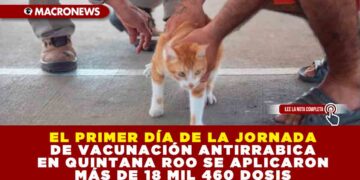 EN EL PRIMER DÍA DE LA JORNADA DE VACUNACIÓN ANTIRRABICA EN QUINTANA ROO SE APLICARON MAS DE 18 MIL 460 DOSIS