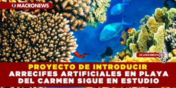 PROYECTO DE INTRODUCIR ARRECIFES ARTIFICIALES EN PLAYA DEL CARMEN SIGUE EN ESTUDIO