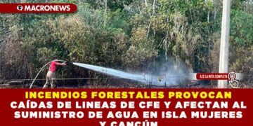 INCENDIOS FORESTALES PROVOCAN CAÍDAS DE LINEAS DE CFE Y AFECTAN AL SUMINISTRO DE AGUA EN ISLA MUJERES Y CANCÚN