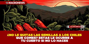 ¿NO LE QUITAS LAS SEMILLAS A LOS CHILES QUE COMES? ESTAS LE OCURRE A TU CUERTO SI NO LO HACES