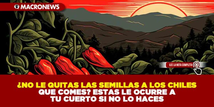 ¿NO LE QUITAS LAS SEMILLAS A LOS CHILES QUE COMES? ESTAS LE OCURRE A TU CUERTO SI NO LO HACES