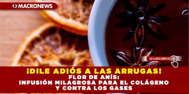¡DILE ADIÓS A LAS ARRUGAS! FLOR DE ANÍS: INFUSIÓN MILAGROSA PARA EL COLÁGENO Y CONTRA LOS GASES