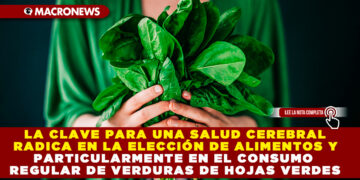 LA CLAVE PARA UNA SALUD CEREBRAL RADICA EN LA ELECCIÓN DE ALIMENTOS Y PARTICULARMENTE EN EL CONSUMO REGULAR DE VERDURAS DE HOJAS VERDES