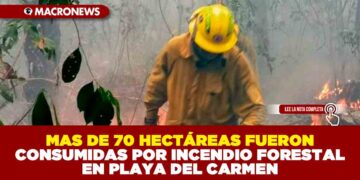 MAS DE 70 HECTÁREAS FUERON CONSUMIDAS POR INCENDIO FORESTAL EN PLAYA DEL CARMEN