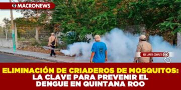ELIMINACIÓN DE CRIADEROS DE MOSQUITOS: LA CLAVE PARA PREVENIR EL DENGUE EN QUINTANA ROO