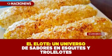 EL ELOTE: UN UNIVERSO DE SABORES EN ESQUITES Y TROLELOTES