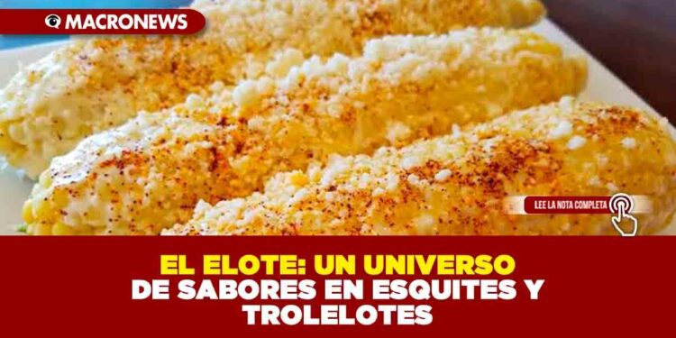 EL ELOTE: UN UNIVERSO DE SABORES EN ESQUITES Y TROLELOTES