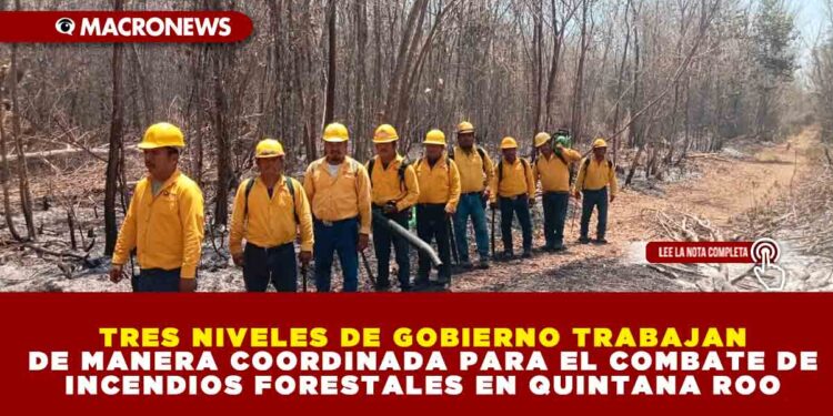 TRES NIVELES DE GOBIERNO TRABAJAN DE MANERA COORDINADA PARA EL COMBATE DE INCENDIOS FORESTALES EN QUINTANA ROO