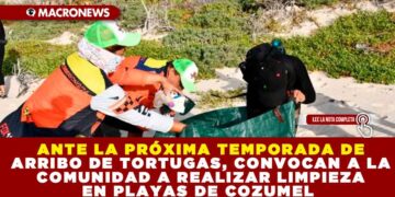 ANTE LA PRÓXIMA TEMPORADA DE ARRIBO DE TORTUGAS, CONVOCAN A LA COMUNIDAD A REALIZAR LIMPIEZA EN PLAYAS DE COZUMEL