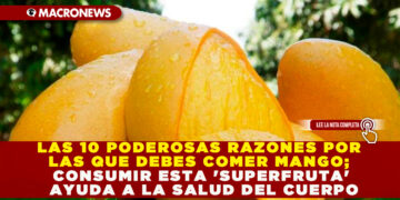 LAS 10 PODEROSAS RAZONES POR LAS QUE DEBES COMER MANGO; CONSUMIR ESTA ‘SUPERFRUTA’ AYUDA A LA SALUD DEL CUERPO