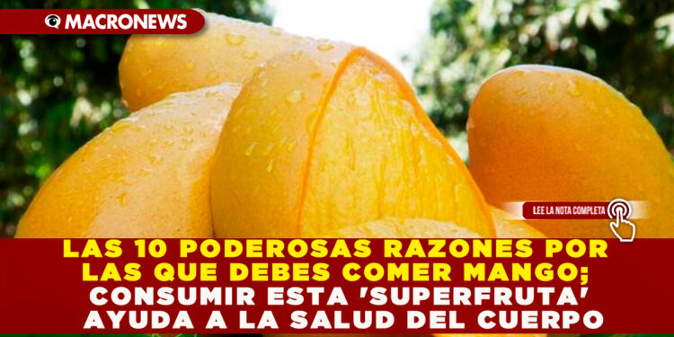LAS 10 PODEROSAS RAZONES POR LAS QUE DEBES COMER MANGO; CONSUMIR ESTA ‘SUPERFRUTA’ AYUDA A LA SALUD DEL CUERPO