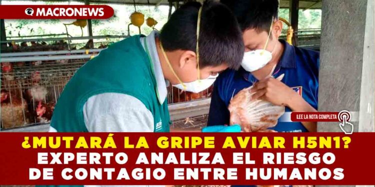 ¿MUTARÁ LA GRIPE AVIAR H5N1? EXPERTO ANALIZA EL RIESGO DE CONTAGIO ENTRE HUMANOS