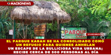 EL PARQUE KABAH SE HA CONSOLIDADO COMO UN REFUGIO PARA QUIENES ANHELAN UN ESCAPE DE LA BULLICIOSA VIDA URBANA; RECIBE CERCA DE 500 PERSONAS AL DÍA