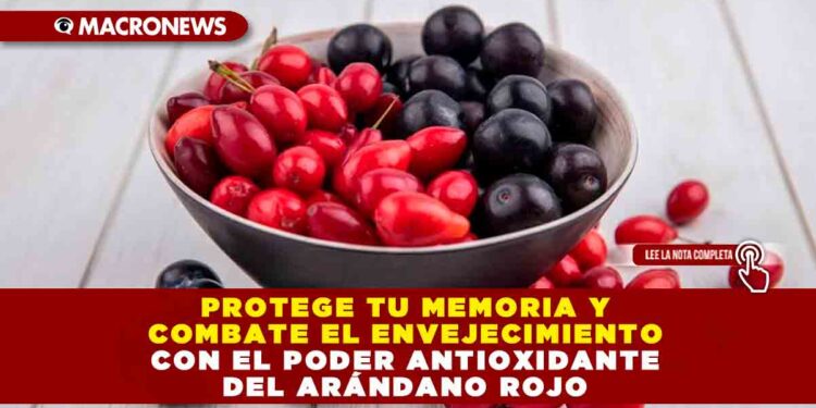 PROTEGE TU MEMORIA Y COMBATE EL ENVEJECIMIENTO CON EL PODER ANTIOXIDANTE DEL ARÁNDANO ROJO