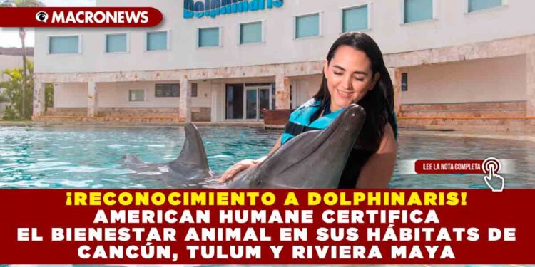 ¡RECONOCIMIENTO A DOLPHINARIS! AMERICAN HUMANE CERTIFICA EL BIENESTAR ANIMAL EN SUS HÁBITATS DE CANCÚN, TULUM Y RIVIERA MAYA
