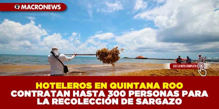 HOTELEROS EN QUINTANA ROO CONTRATAN HASTA 300 PERSONAS PARA LA RECOLECCIÓN DE SARGAZO