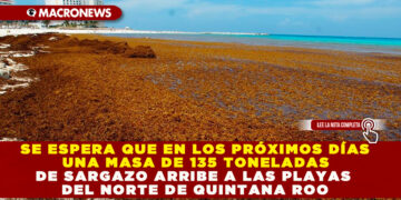 SE ESPERA QUE EN LOS PRÓXIMOS DÍAS UNA MASA DE 135 TONELADAS DE SARGAZO ARRIBE A LAS PLAYAS DEL NORTE DE QUINTANA ROO