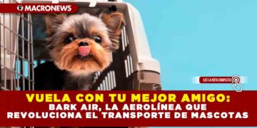 VUELA CON TU MEJOR AMIGO: BARK AIR, LA AEROLÍNEA QUE REVOLUCIONA EL TRANSPORTE DE MASCOTAS
