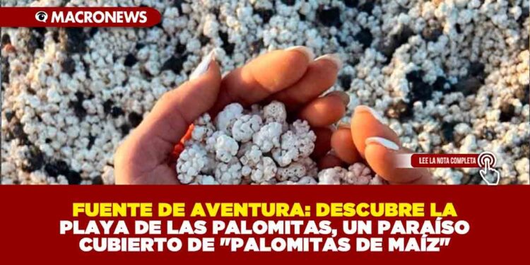 FUENTE DE AVENTURA: DESCUBRE LA PLAYA DE LAS PALOMITAS, UN PARAÍSO CUBIERTO DE «PALOMITAS DE MAÍZ»