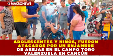 ADOLESCENTES Y NIÑOS, FUERON ATACADOS POR UN ENJAMBRE DE ABEJAS EN EL CAMPO TORO VALENZUELA EN CANCÚN 