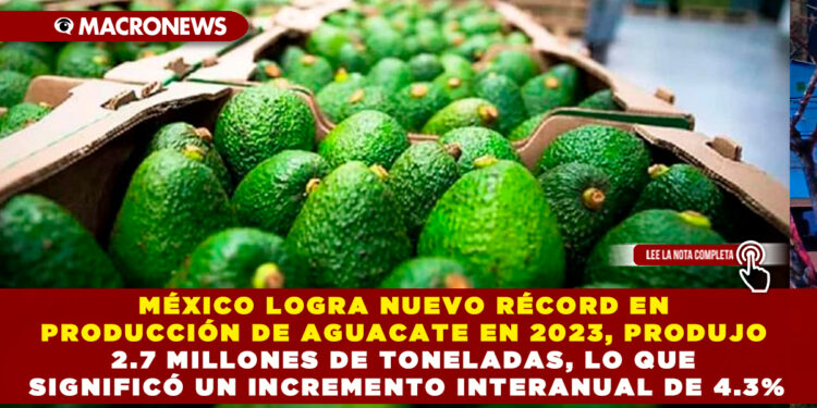 MÉXICO LOGRA NUEVO RÉCORD EN PRODUCCIÓN DE AGUACATE EN 2023, PRODUJO 2.7 MILLONES DE TONELADAS, LO QUE SIGNIFICÓ UN INCREMENTO INTERANUAL DE 4.3%