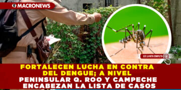 FORTALECEN LUCHA EN CONTRA DEL DENGUE; A NIVEL PENINSULAR Q. ROO Y CAMPECHE ENCABEZAN LA LISTA DE CASOS