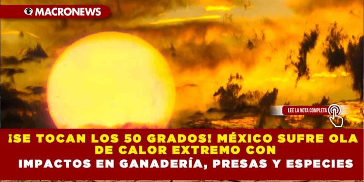 ¡SE TOCAN LOS 50 GRADOS! MÉXICO SUFRE OLA DE CALOR EXTREMO CON IMPACTOS EN GANADERÍA, PRESAS Y ESPECIES
