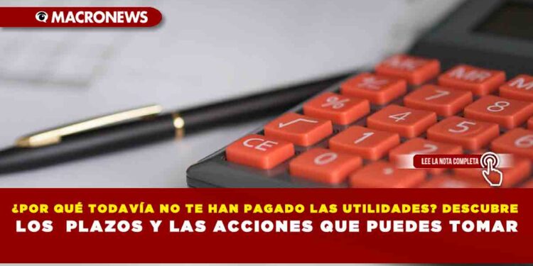 ¿POR QUÉ TODAVÍA NO TE HAN PAGADO LAS UTILIDADES? DESCUBRE LOS  PLAZOS Y LAS ACCIONES QUE PUEDES TOMAR