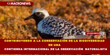 CONTRIBUYENDO A LA CONSERVACIÓN DE LA BIODIVERSIDAD EN UNA CONTIENDA INTERNACIONAL DE LA OBSERVACIÓN NATURALISTA