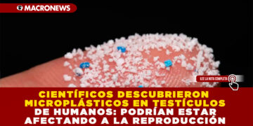 CIENTÍFICOS DESCUBRIERON MICROPLÁSTICOS EN TESTÍCULOS DE HUMANOS: PODRÍAN ESTAR AFECTANDO A LA REPRODUCCIÓN