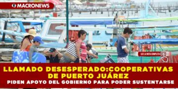 LLAMADO DESESPERADO:COOPERATIVAS DE PUERTO JUÁREZ PIDEN APOYO DEL GOBIERNO PARA PODER SUSTENTARSE