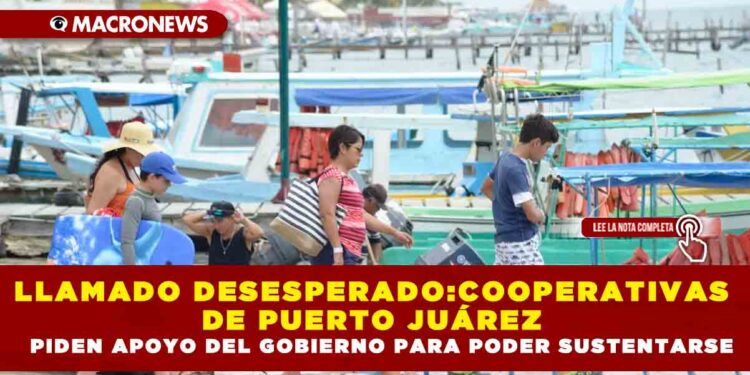 LLAMADO DESESPERADO:COOPERATIVAS DE PUERTO JUÁREZ PIDEN APOYO DEL GOBIERNO PARA PODER SUSTENTARSE