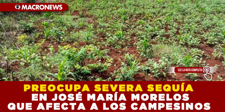 PREOCUPA SEVERA SEQUÍA EN JOSÉ MARÍA MORELOS QUE AFECTA A LOS CAMPESINOS