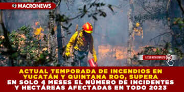 ACTUAL TEMPORADA DE INCENDIOS EN YUCATÁN Y QUINTANA ROO, SUPERA EN SOLO 4 MESES EL NÚMERO DE INCIDENTES Y HECTÁREAS AFECTADAS EN TODO 2023