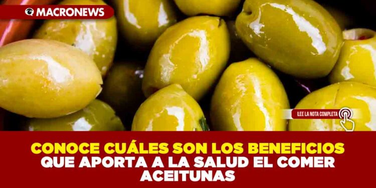 CONOCE CUÁLES SON LOS BENEFICIOS QUE APORTA A LA SALUD EL COMER ACEITUNAS