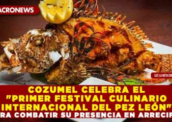 COZUMEL CELEBRA EL «PRIMER FESTIVAL CULINARIO INTERNACIONAL DEL PEZ LEÓN» PARA COMBATIR SU PRESENCIA EN ARRECIFES