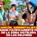 EN CANCÚN, AMBIENTALISTAS SE MANIFESTARON PACÍFICAMENTE FRENTE A LA ENTRADA DE LA ZONA HOTELERA EN FAVOR DE LOS DELFINES
