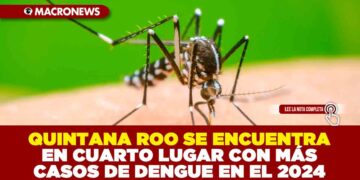 QUINTANA ROO SE ENCUENTRA EN CUARTO LUGAR CON MÁS CASOS DE DENGUE EN EL 2024