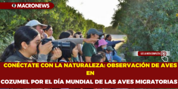CONÉCTATE CON LA NATURALEZA:OBSERVACIÓN DE AVES EN COZUMEL POR EL DÍA MUNDIAL DE LAS AVES MIGRATORIAS