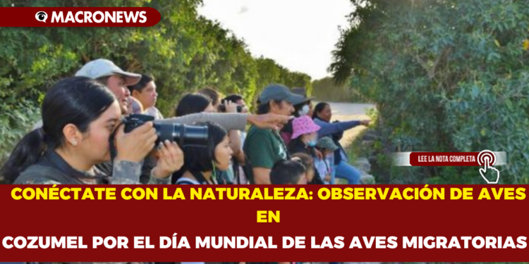 CONÉCTATE CON LA NATURALEZA:OBSERVACIÓN DE AVES EN COZUMEL POR EL DÍA MUNDIAL DE LAS AVES MIGRATORIAS